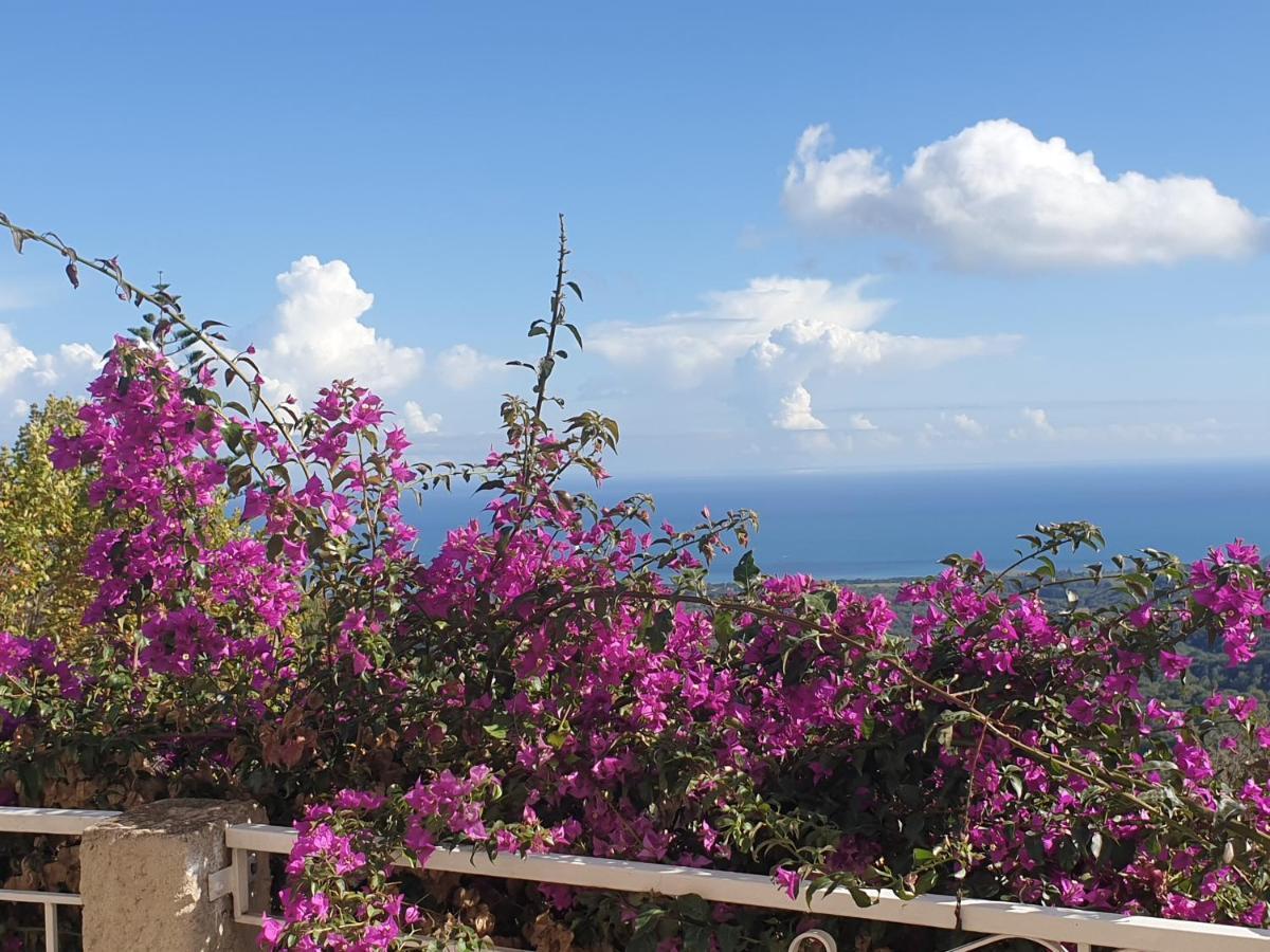 Appartement A Caserella Entierement Renove Avec Terrasse Et Vue Panoramique Sur Mer Valle-di-Campoloro Εξωτερικό φωτογραφία