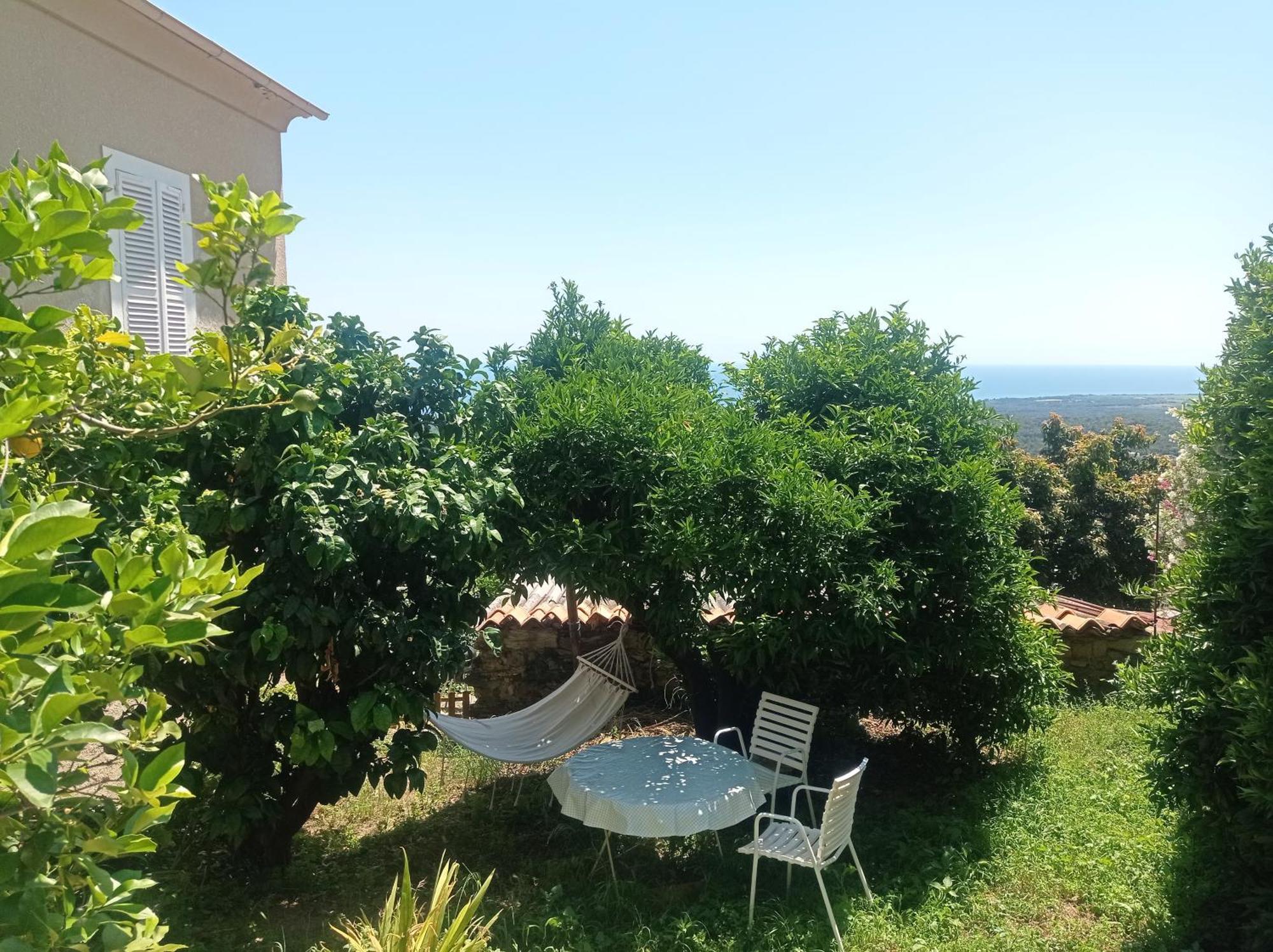 Appartement A Caserella Entierement Renove Avec Terrasse Et Vue Panoramique Sur Mer Valle-di-Campoloro Εξωτερικό φωτογραφία